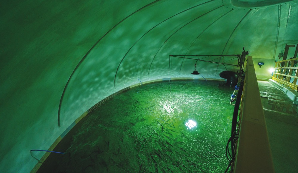 Piscicultura con cúpula.jpg